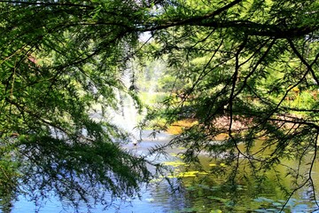 Arboretum Bolestraszyce