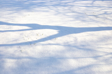 Shadow from a tree in the snow in winter on a sunny day. Atmospheric natural snow background