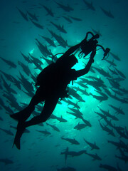 Undewater modeling.  Photographer taking shots of fish