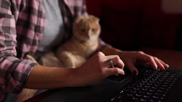 Woman wear comfy style is working on a black notebook, laptop and cat is laying on her lap, Work from home, Stay home, Coronavirus quarantine, Homework, freelance. Work from home.