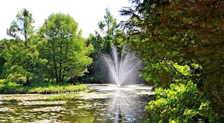 Arboretum Bolestraszyce