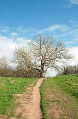 Malvern hills in the springtime