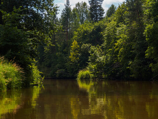Silence on the river in the middle of the forest. Unique natural locations far from civilisation.