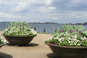 Frühling in Kopenhagen