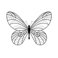 Butterfly coloring book. Linear drawing of a butterfly