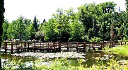 Arboretum Bolestraszyce © woodyd