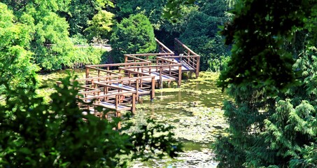 Arboretum Bolestraszyce © woodyd