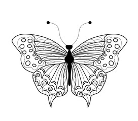 Butterfly coloring book. Linear drawing of a butterfly