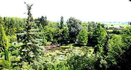 Fototapeta na wymiar Arboretum Bolestraszyce