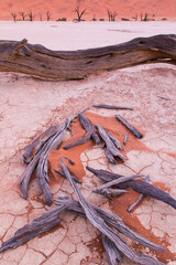 Deadvlei, Sossus Vlei, Desierto Namib, Namibia,  Africa