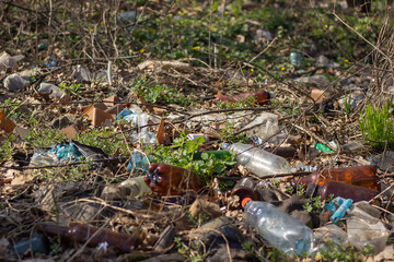 primroses snowdrops bloom in early spring in the sun under debris and plastic. Ecology problem and disaster. Environmental pollution. Pile of garbage. Go green, zero waste, save the planet, no plastic