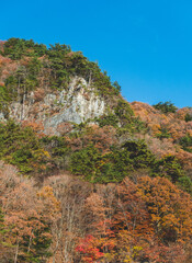 綺麗な紅葉に染まった山