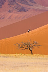 Fototapeta na wymiar Duna 45 Desierto Namib Namibia Africa