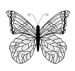 Butterfly coloring book. Linear drawing of a butterfly