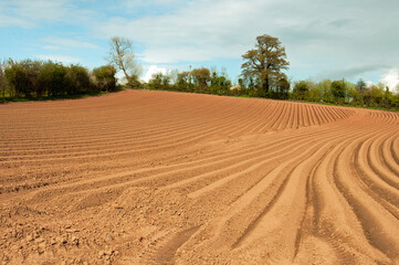 Ploughed fields in the summertime