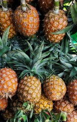 a bunch of fresh looking pineapple