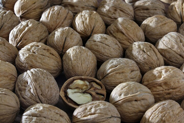 close up of walnuts on the market