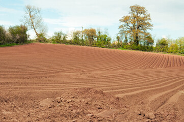 Ploughed fields in the summertime