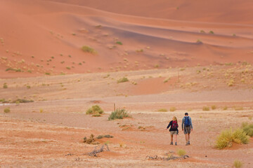 Fototapeta na wymiar Desierto Namib Namibia Africa