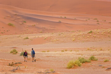 Namib desert,  Namib Naukluft National Park, Namibia, Africa