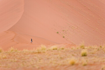 Fototapeta na wymiar Namib desert, Namib Naukluft National Park, Namibia, Africa