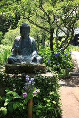 紫陽花の季節、鎌倉　　6月の東慶寺、　　　紫陽花が供えられた仏像　　　　北鎌倉にある東慶寺は臨済宗の寺院で女人救済の寺として有名。谷戸と呼ばれる鎌倉独特の地形に造られた境内には、四季折々の花が咲き美しい