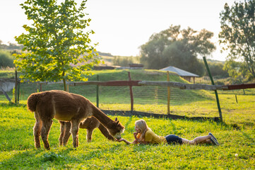 Woman at alpaca farm with alpacas