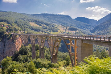 Fototapeta na wymiar Beautiful Durdevica arched Tara Bridge over green amazing Tara Canyon. One of the world deepest Canyons and UNESCO World Heritage, Montenegro.