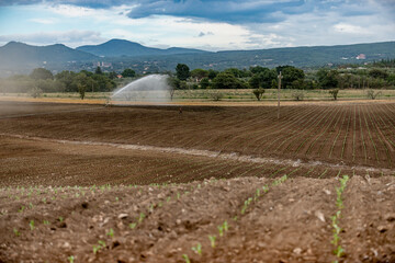 LAZIO VITERBO
