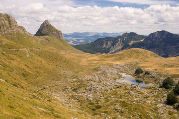 Colorful high mountains, Durmitor National park, Montenegro. Panoramic landscape of meadow in mountains.
