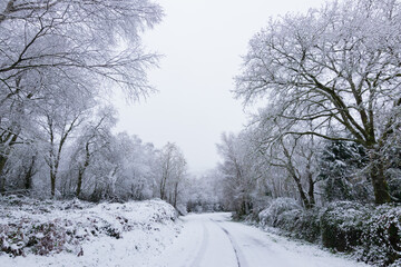 Fototapeta premium Dangerous journey on a road with snow and trees on the side in a mountain in Galicia, Spain