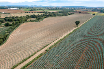 Obraz premium LAZIO VITERBO