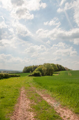 Fototapeta na wymiar Summertime farm road in the countryside