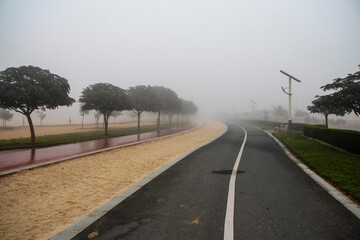 Jogging and cycling tracks on foggy morning in the park.Outdoors - obrazy, fototapety, plakaty