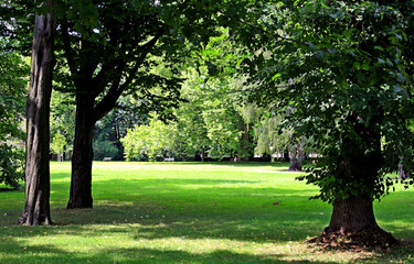 Obraz premium Kańczuga , Sietesz , Markowa , Kraczkowa , Łańcut - Storczykarnia , Łańcut park