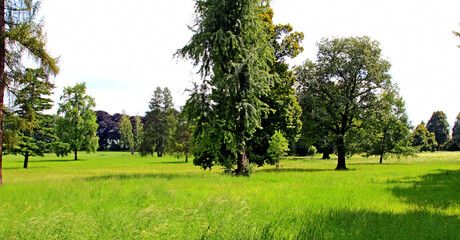 Kańczuga , Sietesz , Markowa , Kraczkowa , Łańcut - Storczykarnia , Łańcut  park