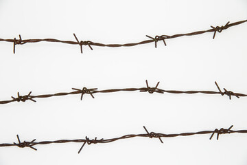 Barbed wire on a white background.