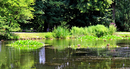 Kańczuga , Sietesz , Markowa , Kraczkowa , Łańcut - Storczykarnia , Łańcut  park