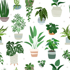Fototapeta na wymiar Indoor plants seamless pattern, hand drawn flat