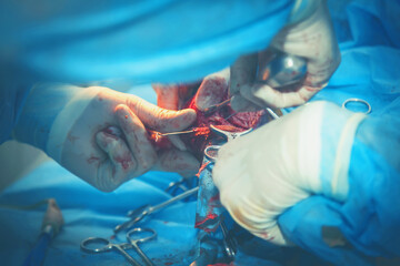Veterinarian surgery. Close up. Health, animal, hospital, treatment, medicine concept. Horizontal...