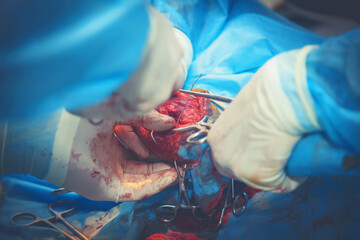 Veterinarian surgery, fixing of wounded canine leg. Health, animal, hospital, treatment, medicine...