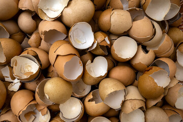 Eggshell waste for recycle For environmental protection and utilization