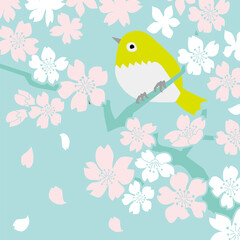 満開の桜とウグイスのシンプルな背景素材