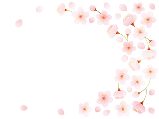 水彩風 桜の装飾イラスト