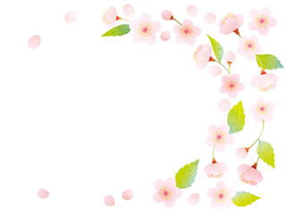 水彩風 紅梅と白梅のセットイラスト Wall Mural Wallpaper Murals 絵里香 水上