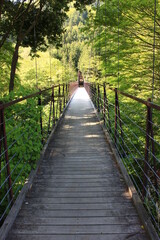 道志道の景色　相模原と山中湖を結ぶと自然豊かな風情ある道　野原吊り橋