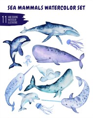 Watercolor set of hand-drawn marine illustrations. Whale, dolphin, narwhal, jellyfish and orca. Ocean, sea inhabitant.