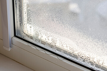 Drops of condensate and black mold on a substandard metal-plastic window