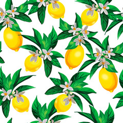 Lemon citrus vector pattern. Botanical vector illustration. Summer background. Floral design.