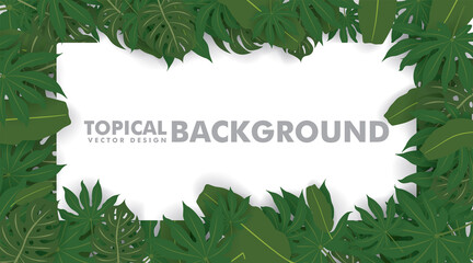 Frame made of fresh green tropical leaves on white background. Space for design or text. vector illustration design.
